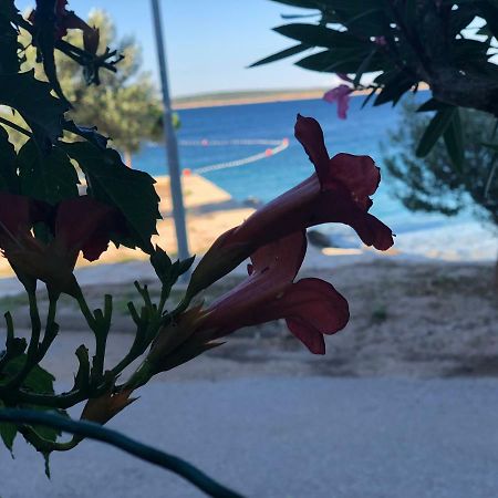 Croatia Mandre Daire Dış mekan fotoğraf