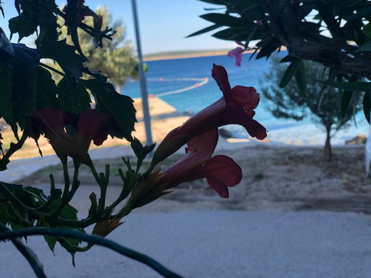 Croatia Mandre Daire Dış mekan fotoğraf
